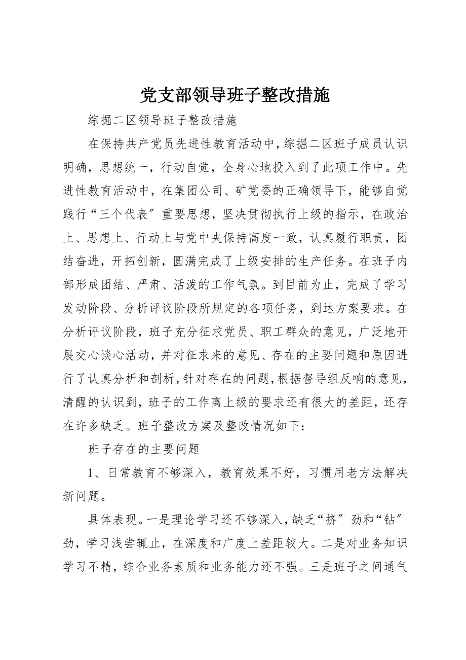 2023年党支部领导班子整改措施.docx_第1页