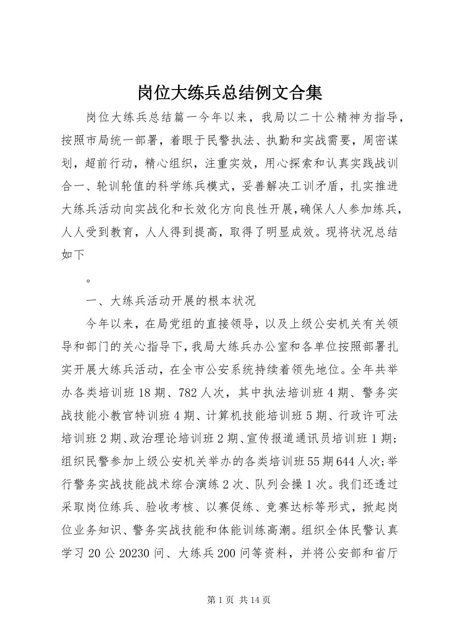 2023年岗位大练兵总结例文合集.docx_第1页