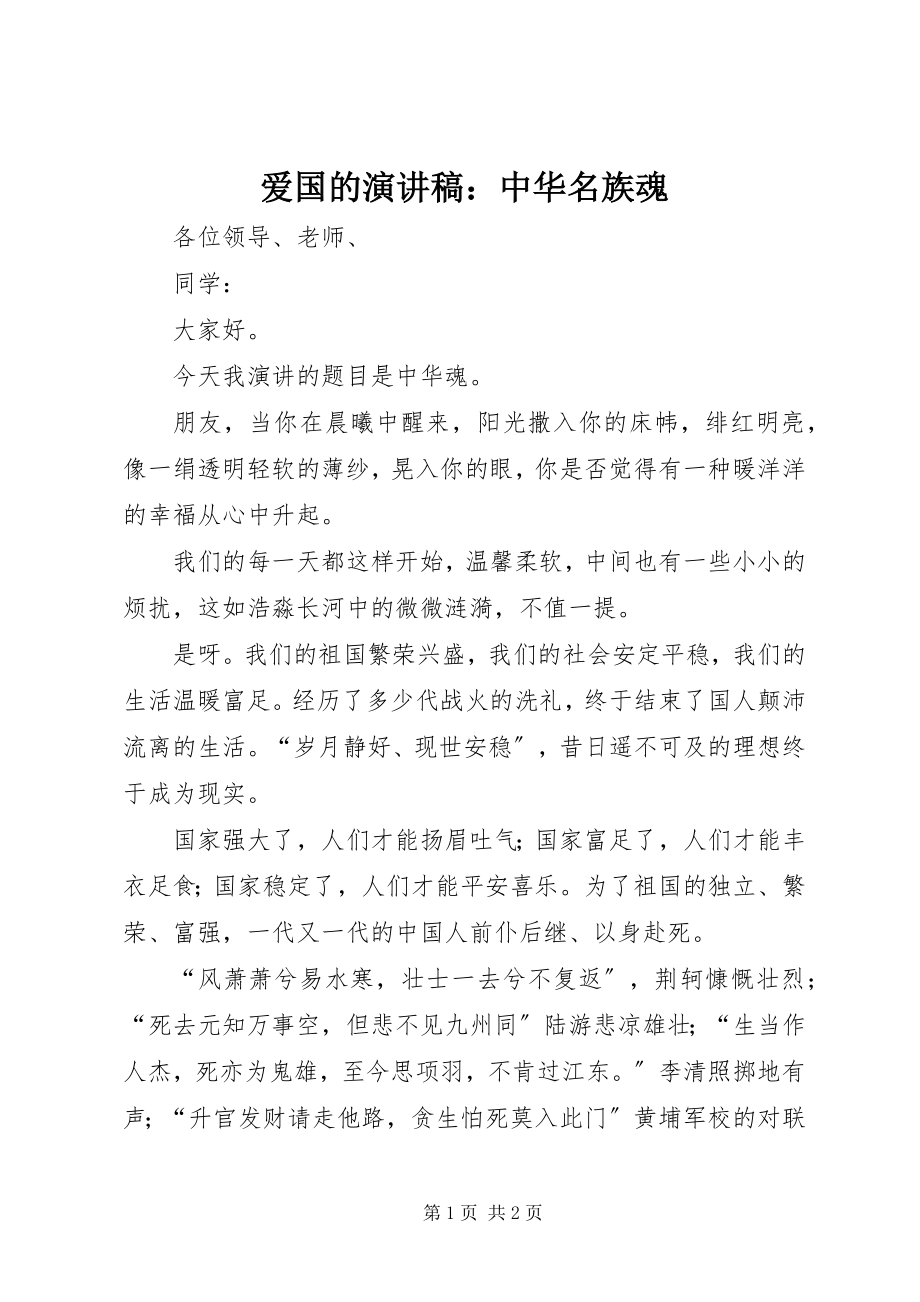 2023年爱国的演讲稿中华名族魂新编.docx_第1页