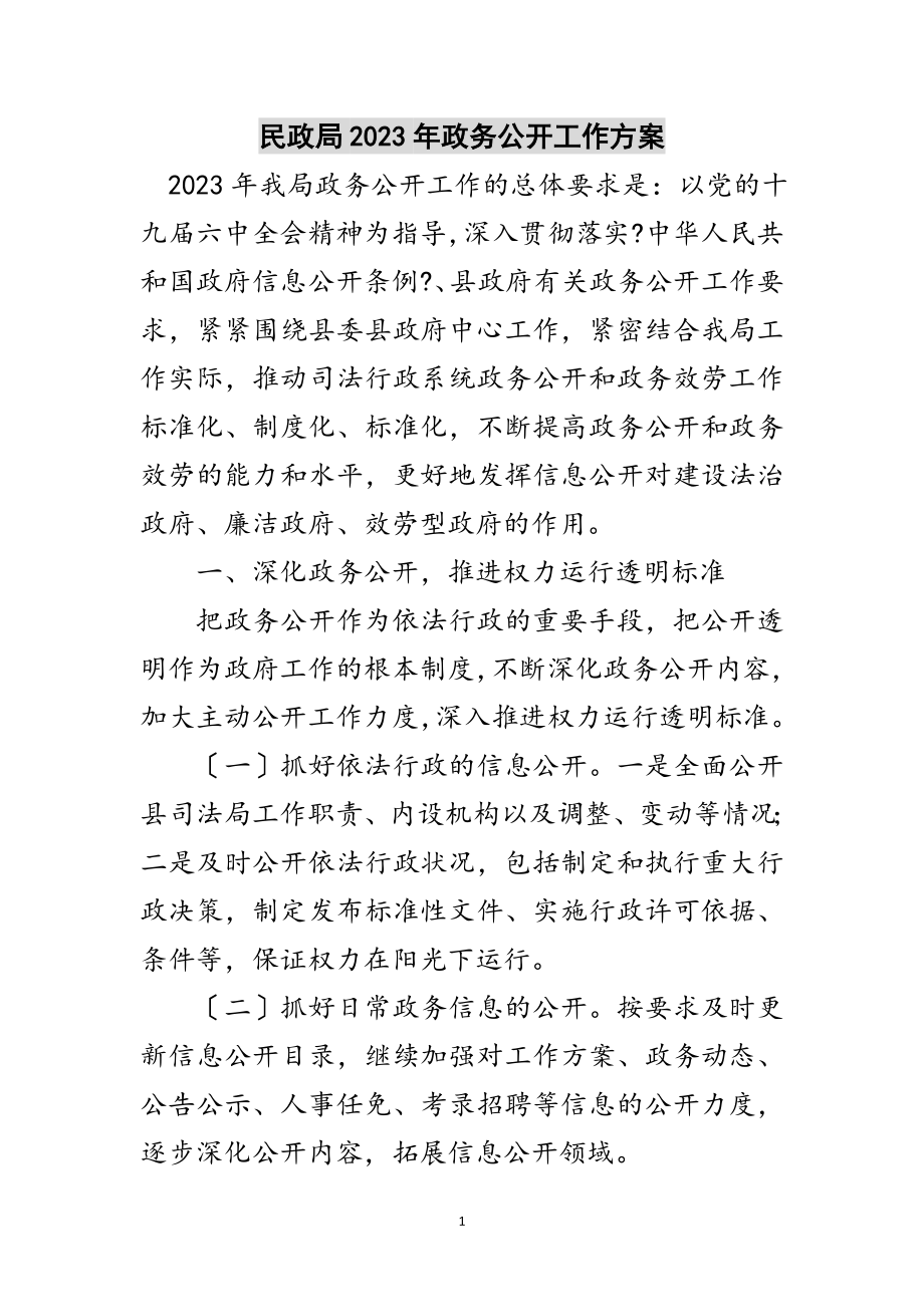 2023年民政局年政务公开工作计划范文.doc_第1页