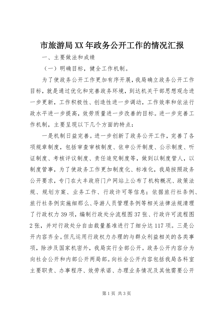 2023年市旅游局政务公开工作的情况汇报.docx_第1页