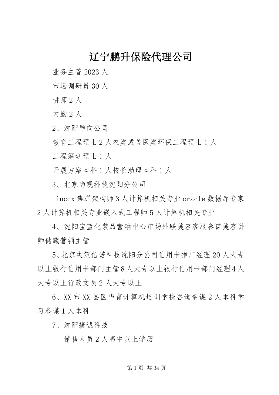 2023年辽宁鹏升保险代理公司.docx_第1页