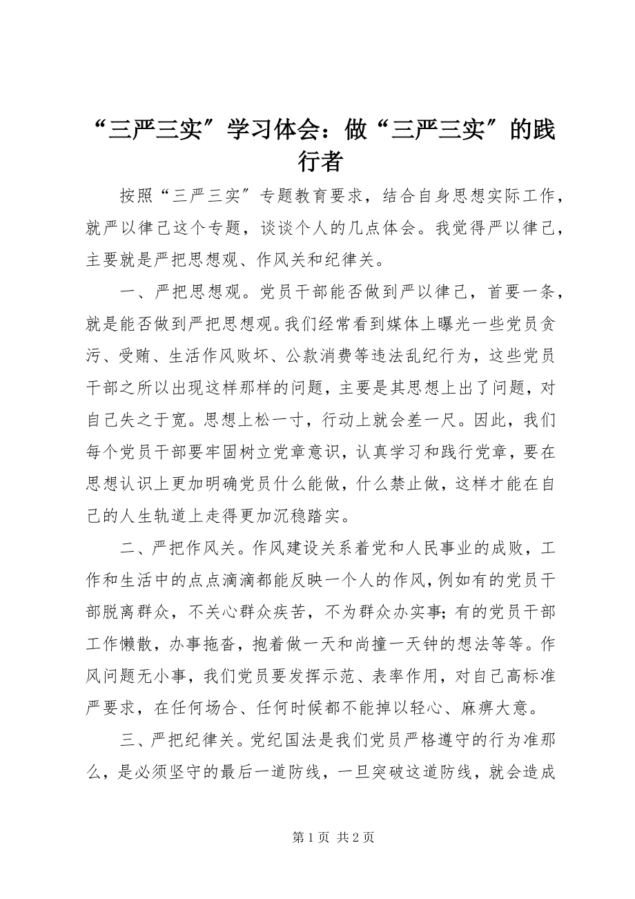 2023年三严三实学习体会做三严三实的践行者.docx_第1页