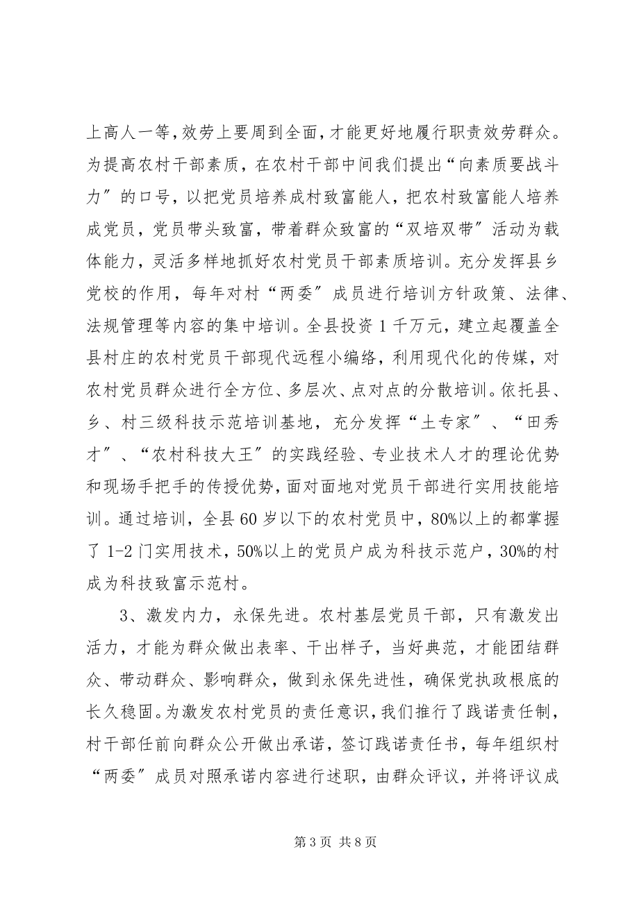 2023年夯实党的执政基础构建农村党建长效机制.docx_第3页