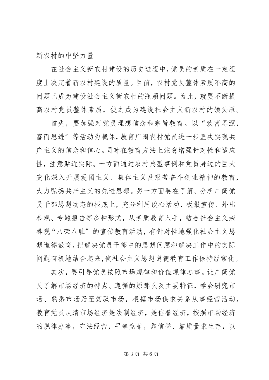 2023年以党的先进性为突破口扎实推进新农村建设进程.docx_第3页