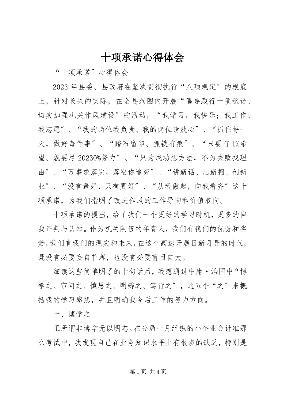 2023年十项承诺心得体会.docx_第1页