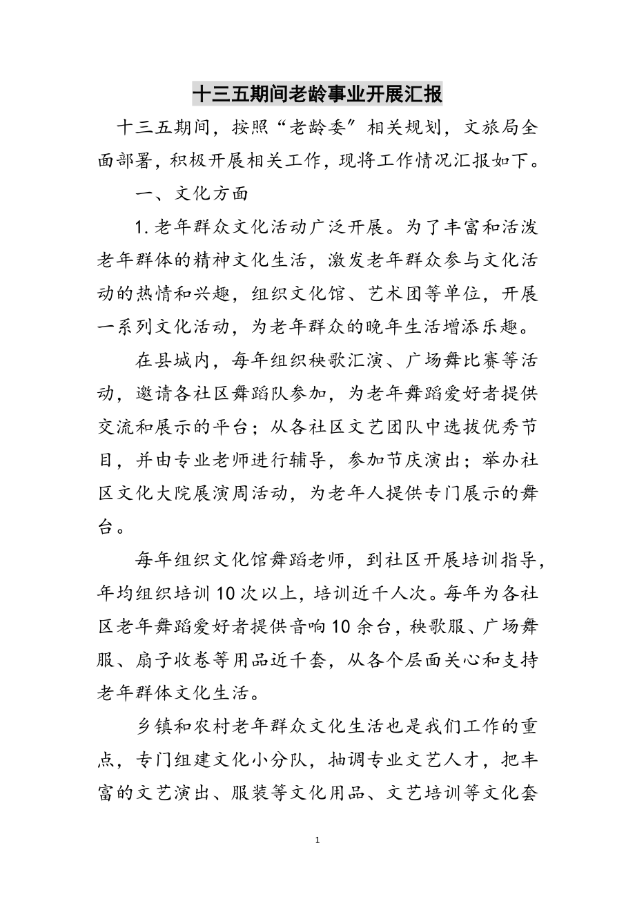 2023年十三五期间老龄事业发展汇报范文.doc_第1页