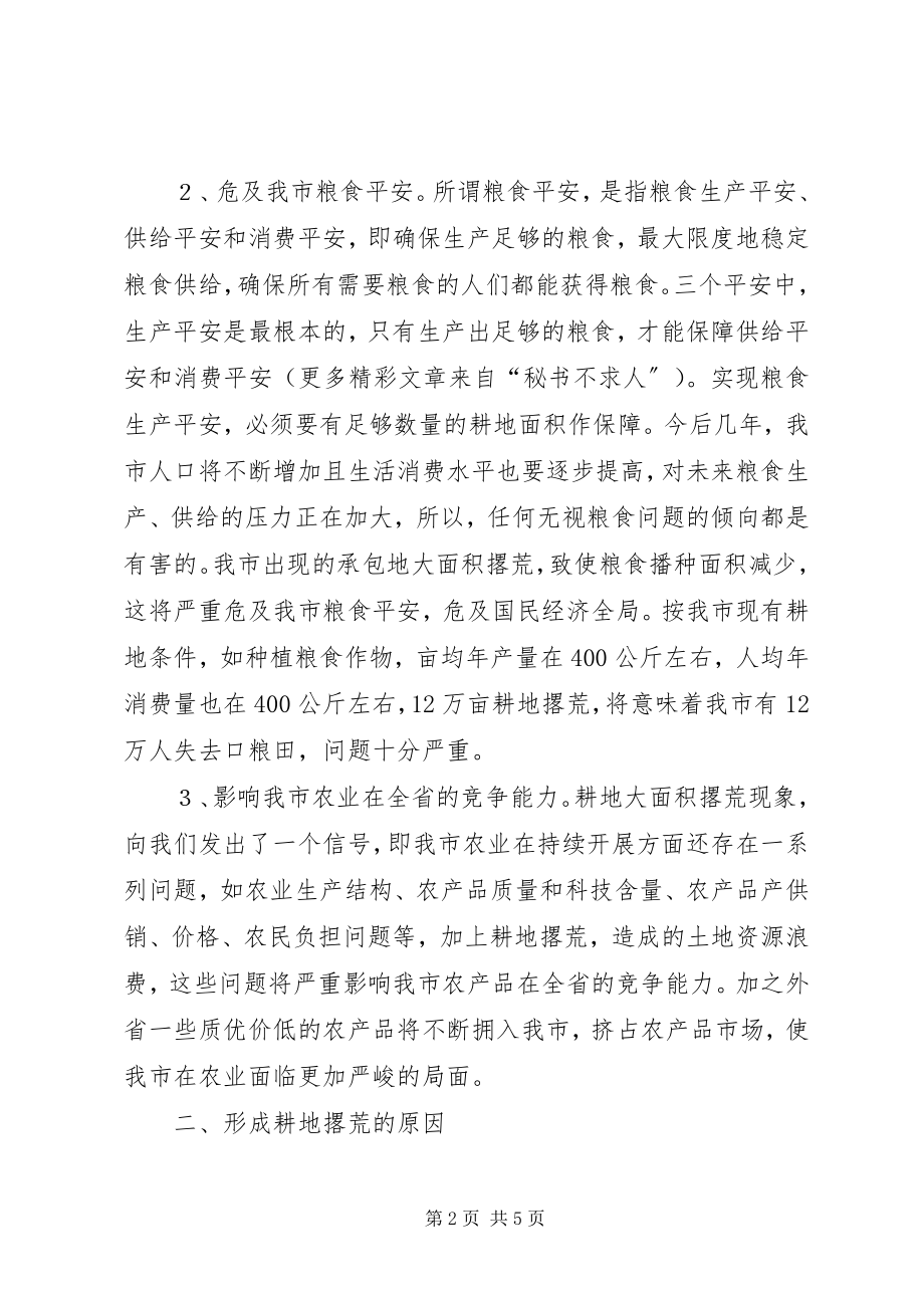 2023年我市耕地撂荒的成因及对策.docx_第2页