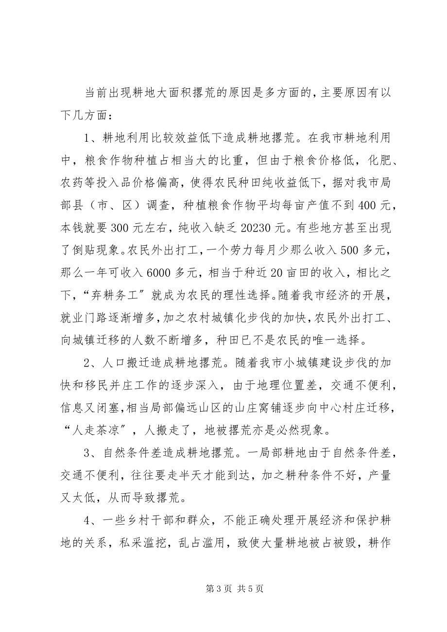 2023年我市耕地撂荒的成因及对策.docx_第3页