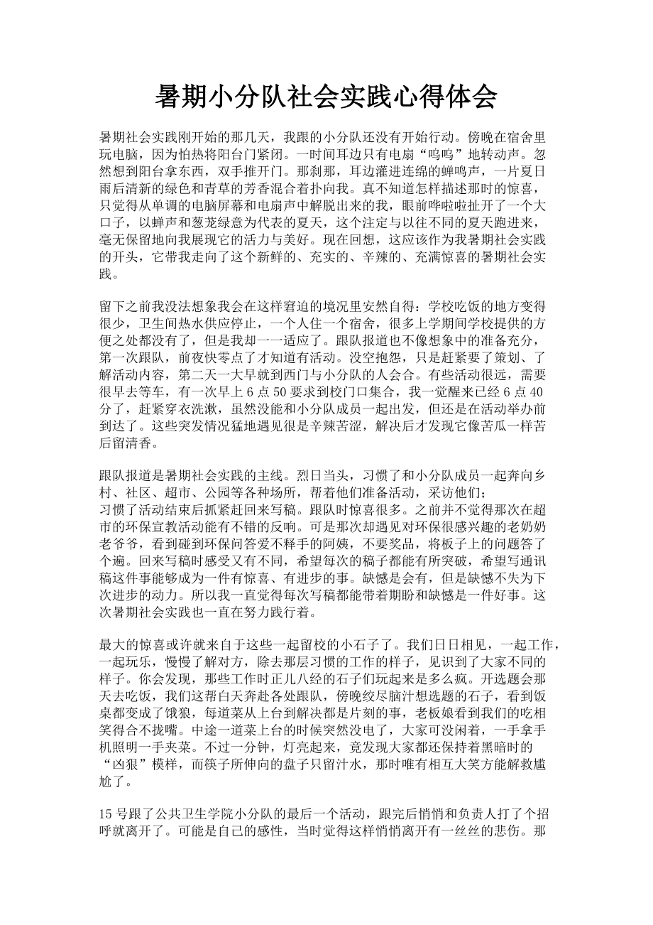 2023年暑期小分队社会实践心得体会.doc_第1页