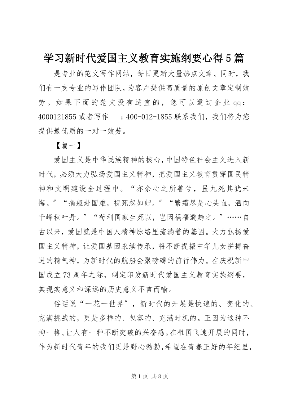 2023年学习《新时代爱国主义教育实施纲要》心得5篇.docx_第1页