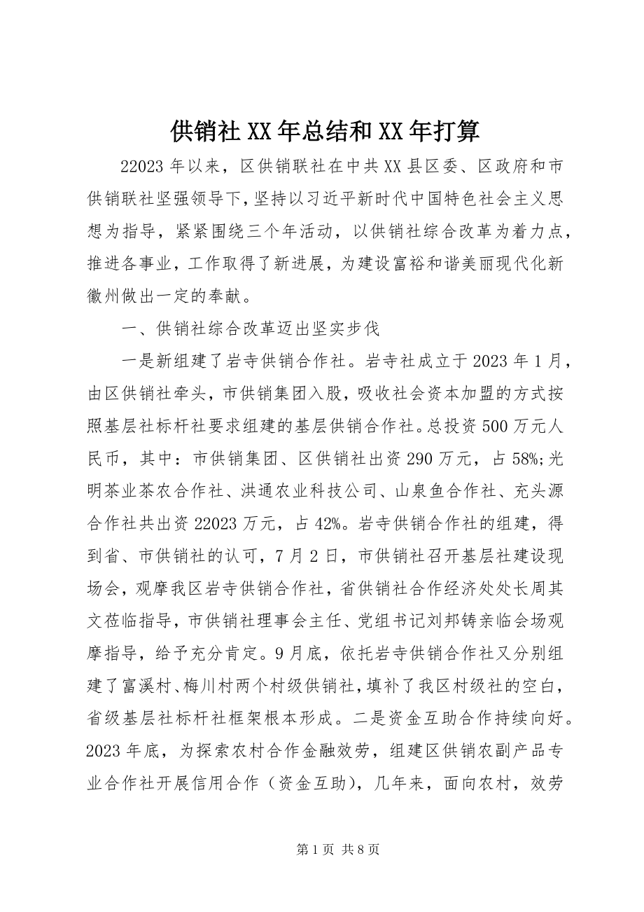 2023年供销社某年总结和某年打算.docx_第1页