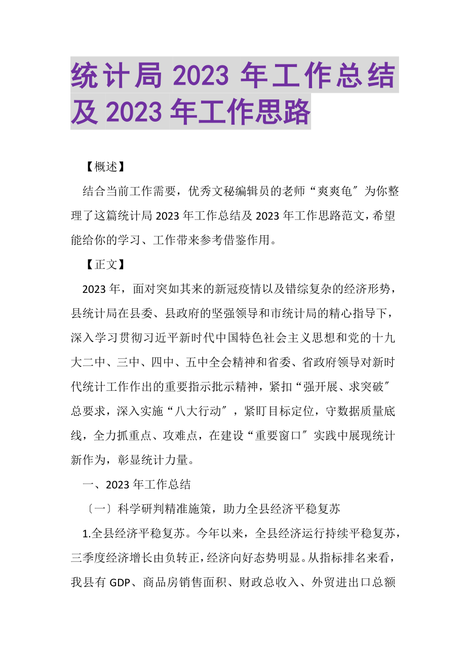 2023年统计局工作总结及工作思路.doc_第1页