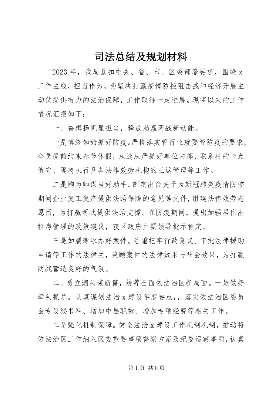 2023年司法总结及规划材料.docx_第1页