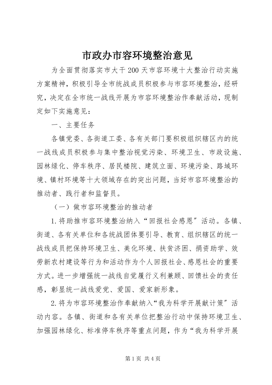 2023年市政办市容环境整治意见.docx_第1页