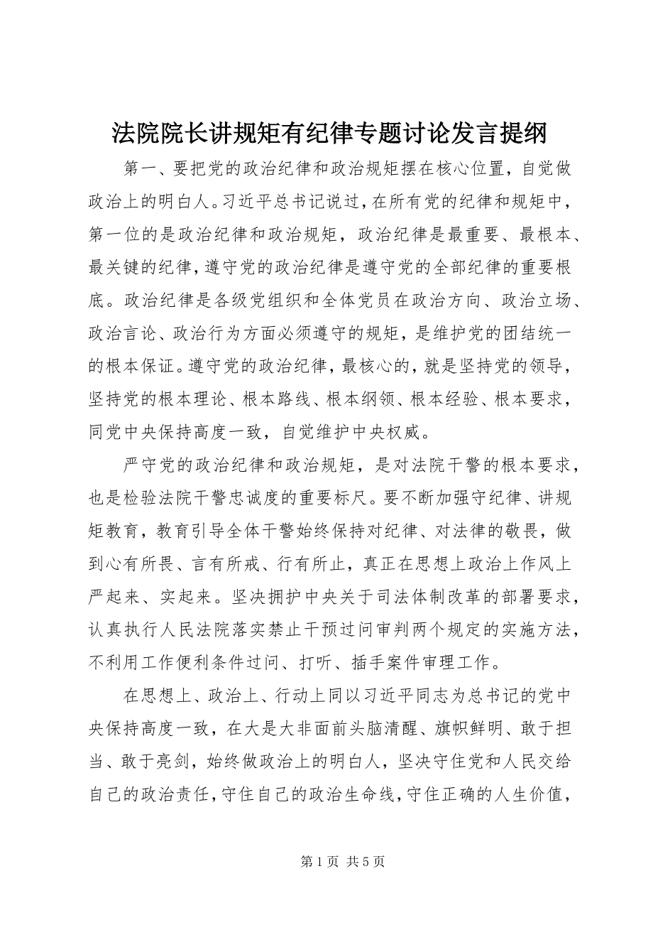 2023年法院院长讲规矩有纪律专题讨论讲话提纲.docx_第1页