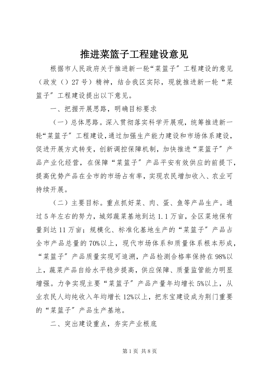 2023年推进菜篮子项目建设意见.docx_第1页