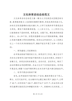 2023年文化体育活动总结3.docx