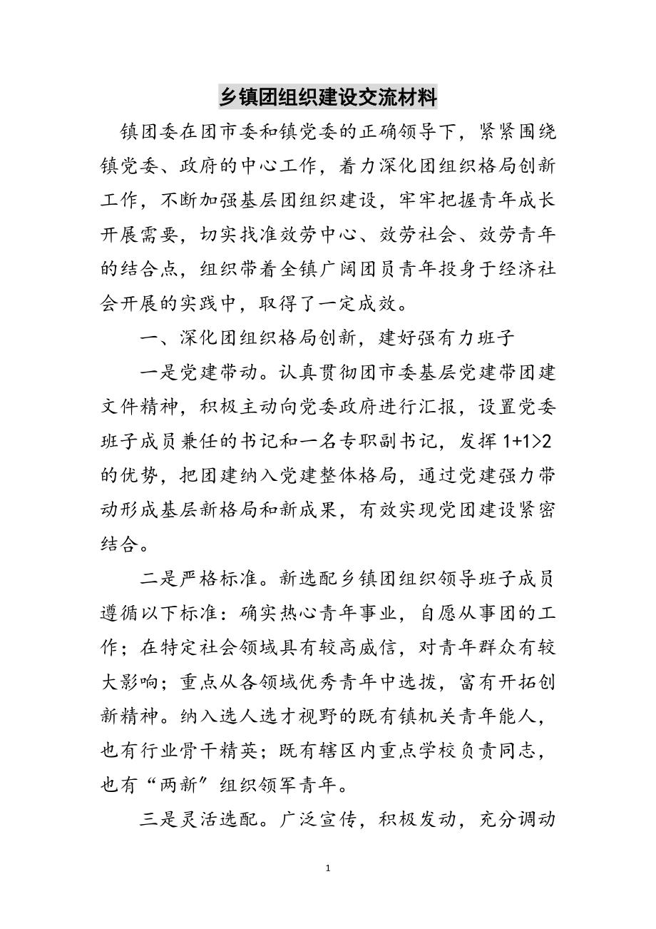 2023年乡镇团组织建设交流材料范文.doc_第1页