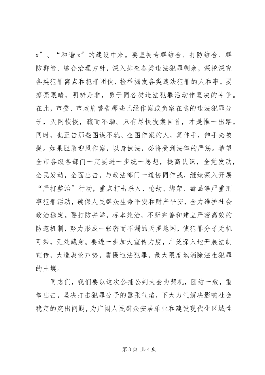 2023年市整治公捕公判大会上的致辞.docx_第3页