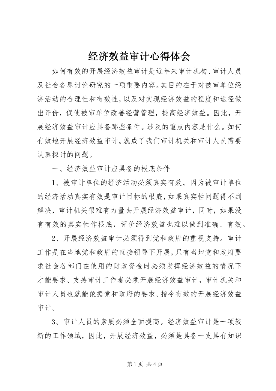 2023年经济效益审计心得体会.docx_第1页