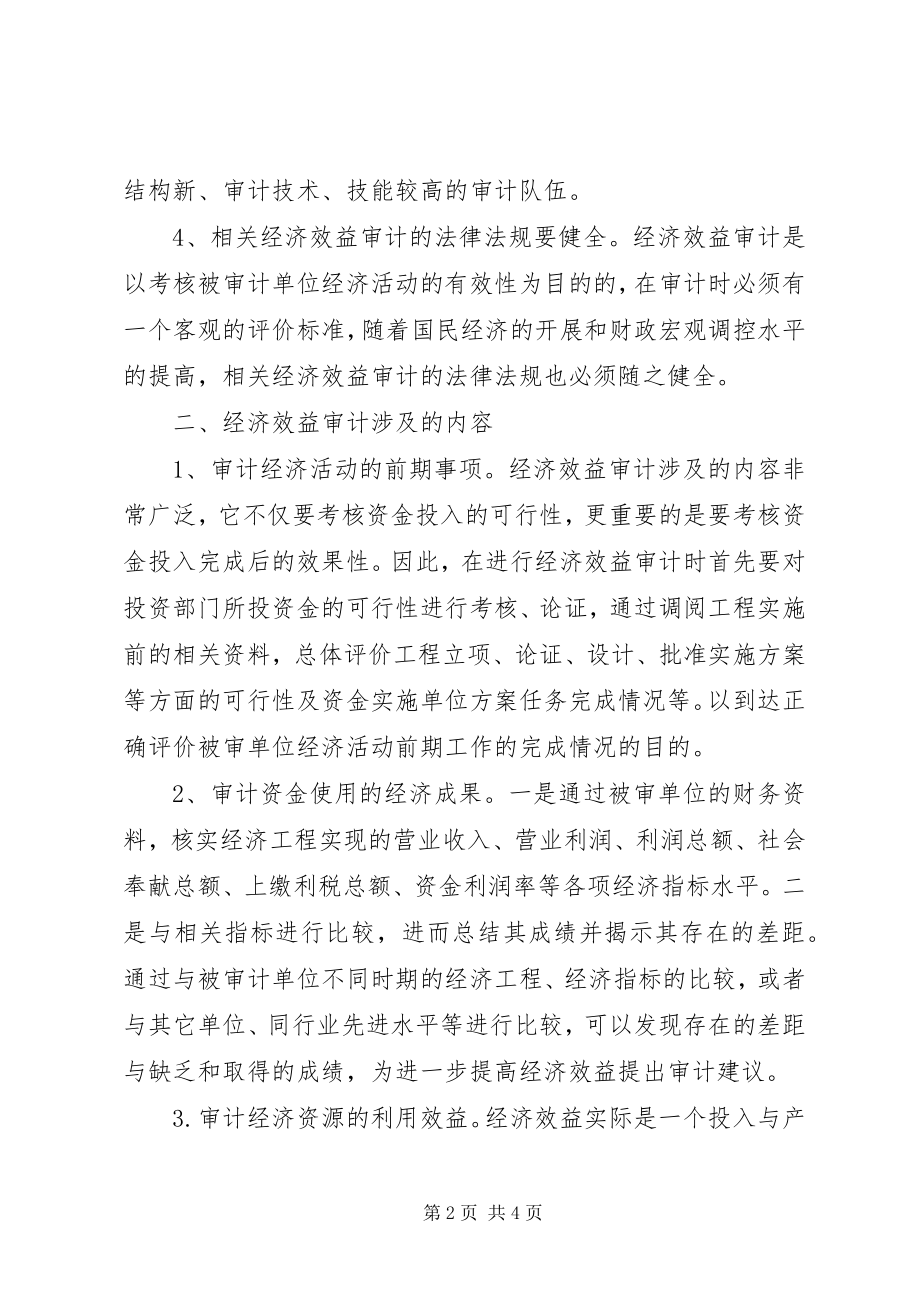 2023年经济效益审计心得体会.docx_第2页