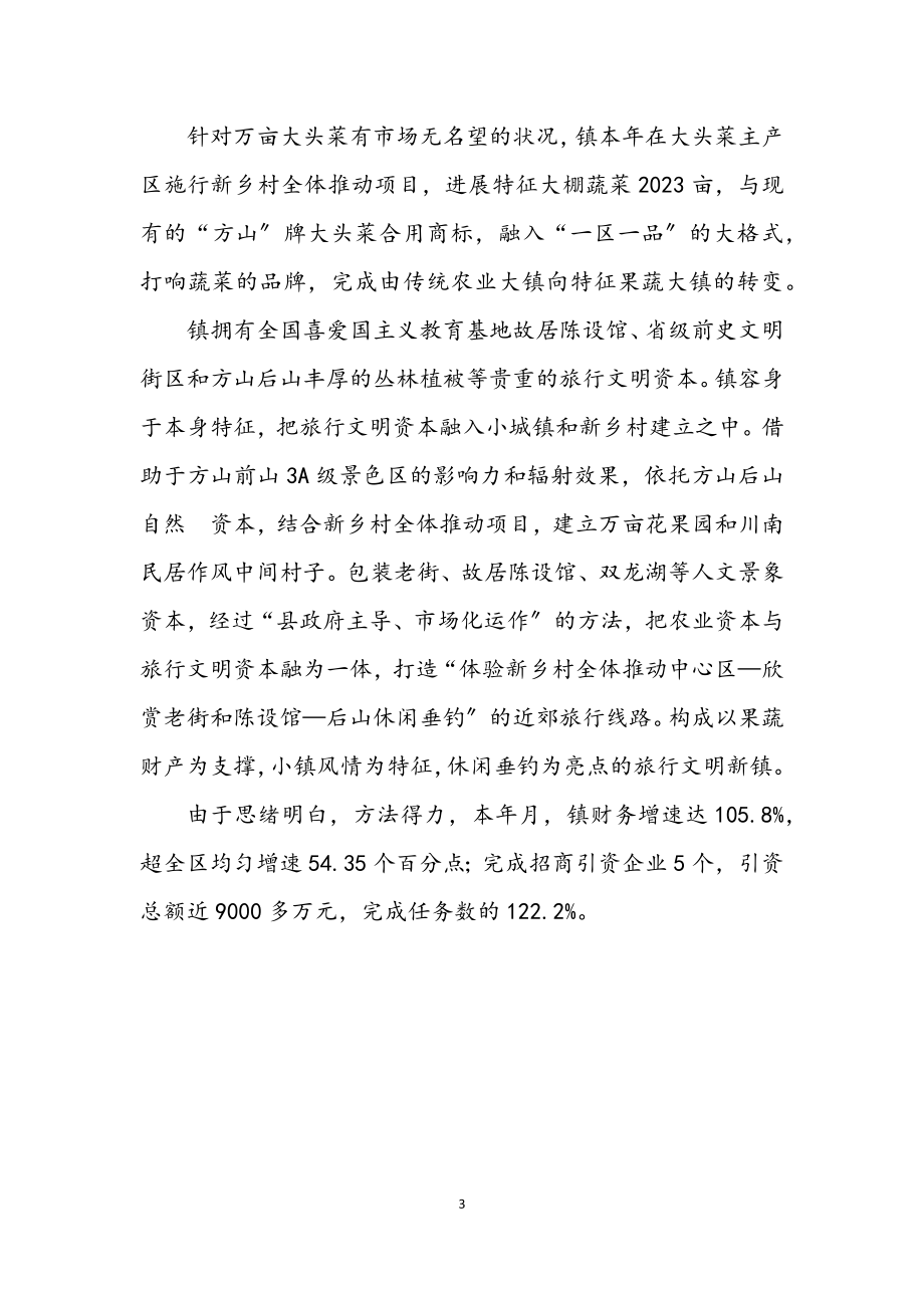 2023年乡镇以特色助推多元发展学习材料.docx_第3页