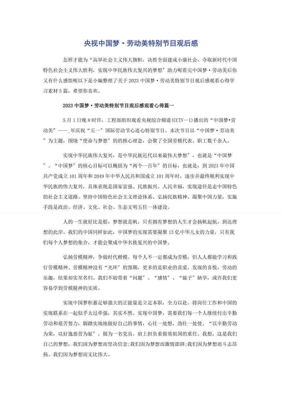 2023年央视《中国梦·劳动美》特别节目观后感.docx_第1页