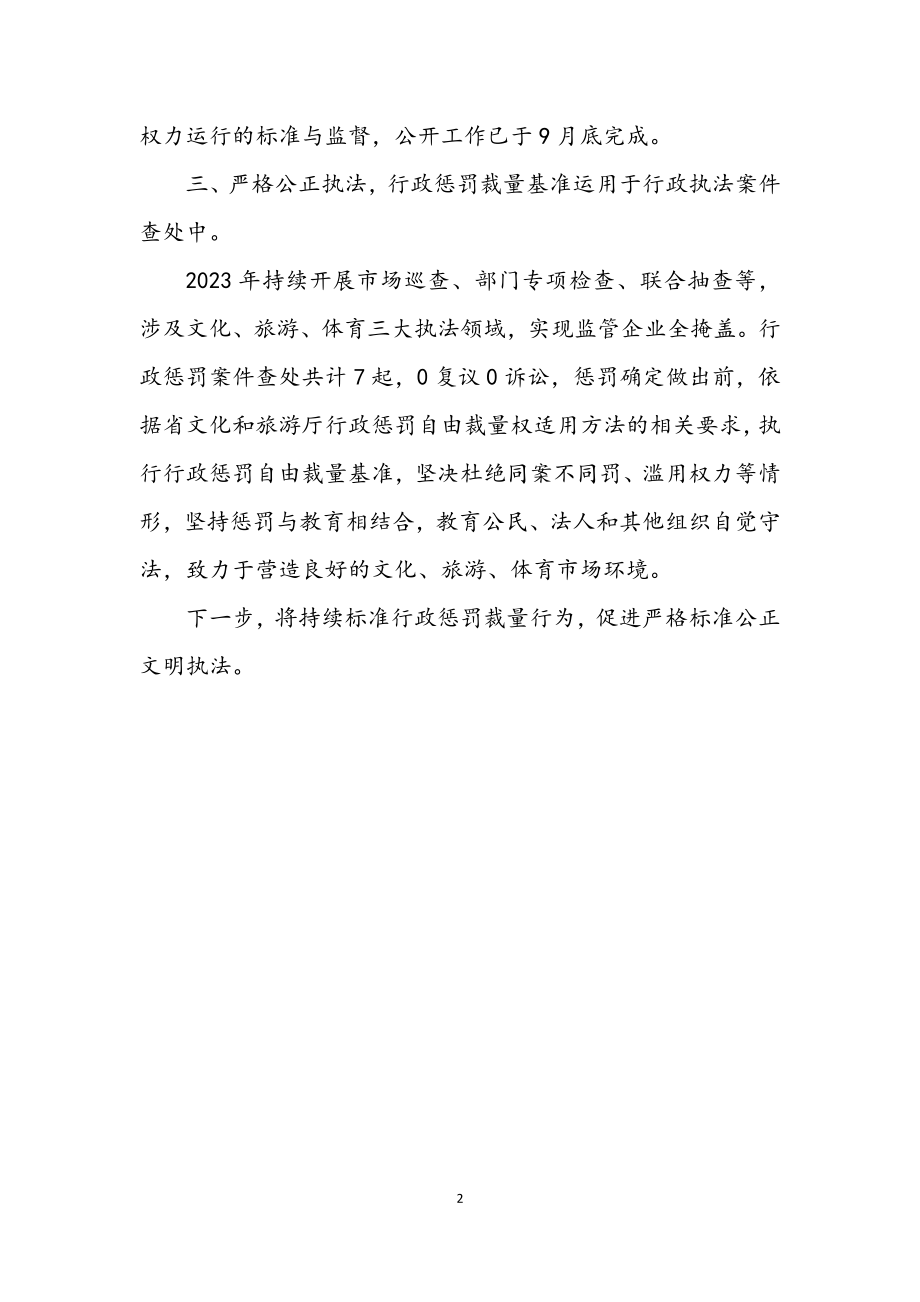 2023年自由裁量基准动态调整工作总结.docx_第2页