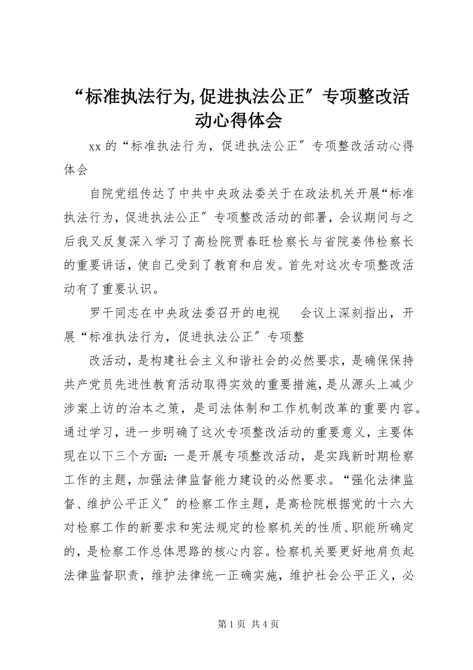 2023年规范执法行为促进执法公正专项整改活动心得体会.docx_第1页