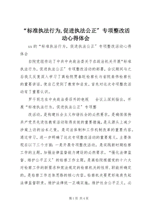 2023年规范执法行为促进执法公正专项整改活动心得体会.docx