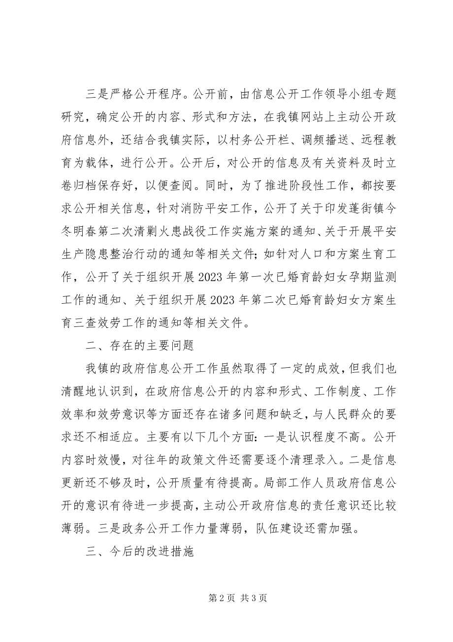 2023年乡镇度信息公开工作总结.docx_第2页