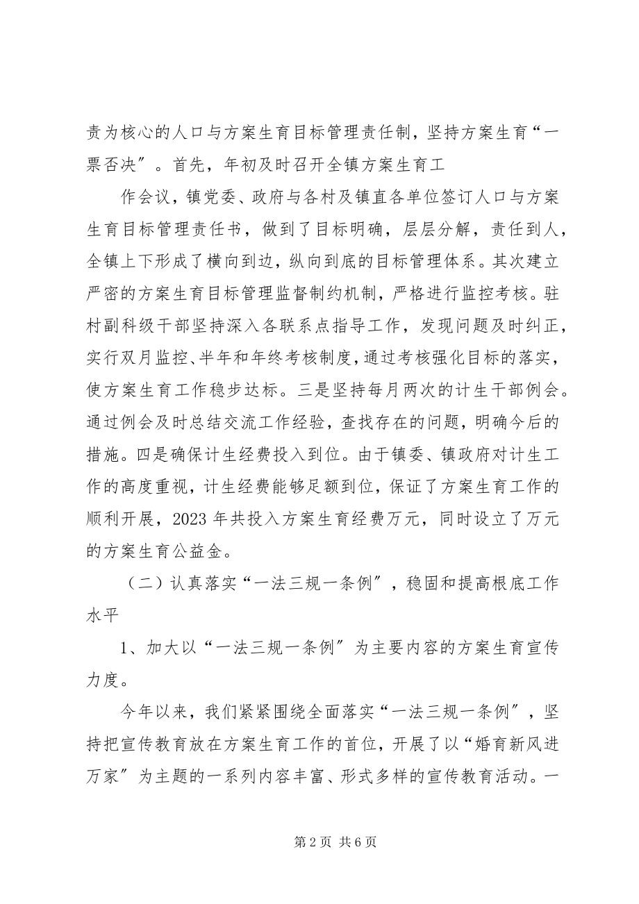 2023年镇计划生育服务站工作总结.docx_第2页