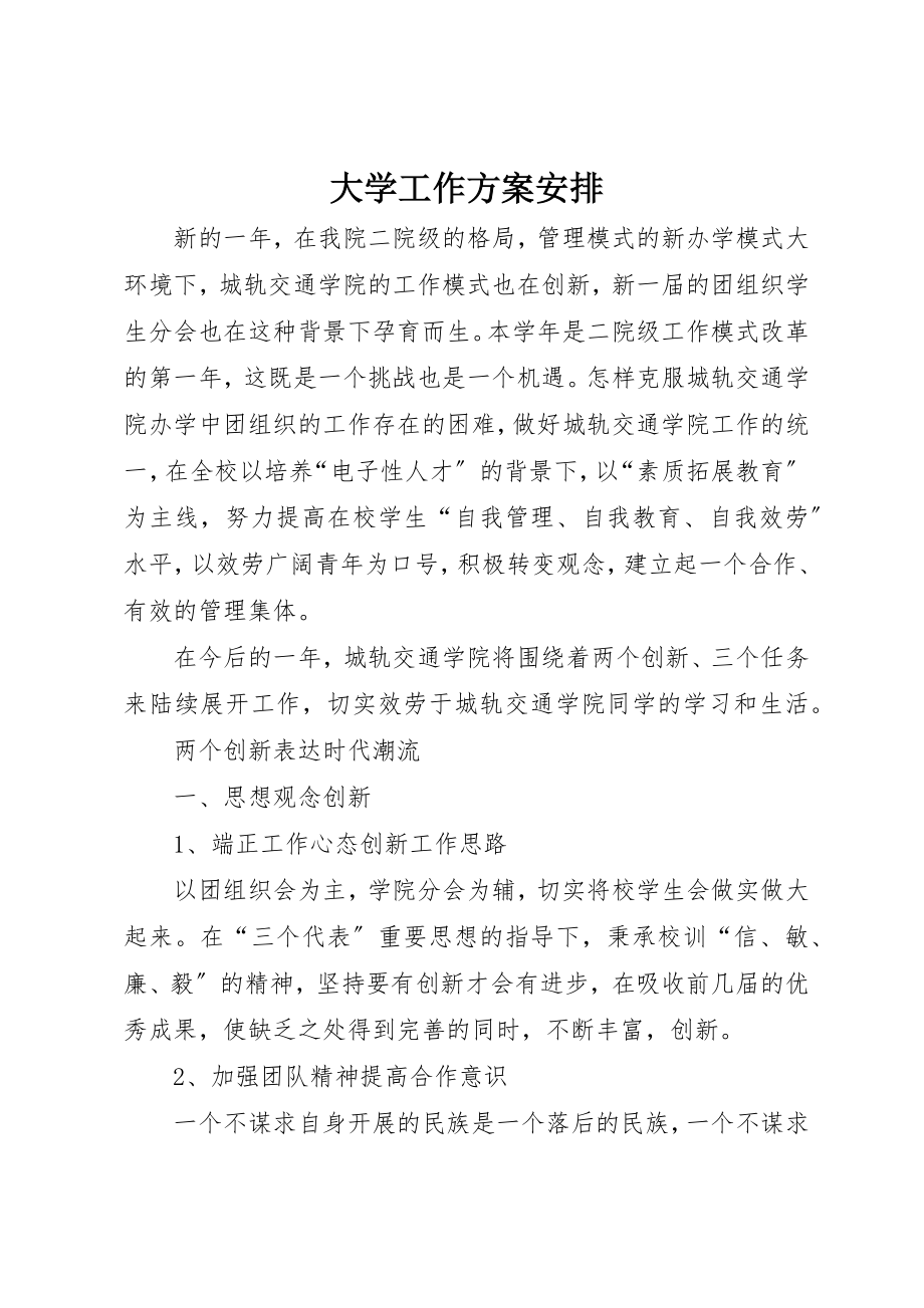 2023年大学工作计划安排.docx_第1页