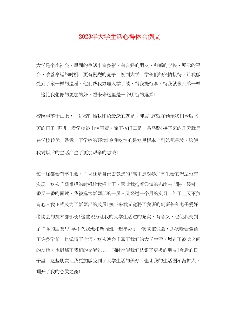 2023年大学生活心得体会例文.docx_第1页