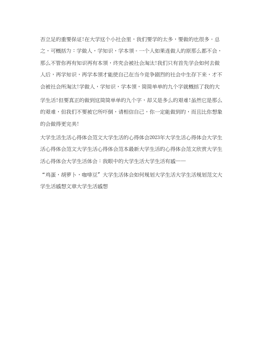 2023年大学生活心得体会例文.docx_第3页