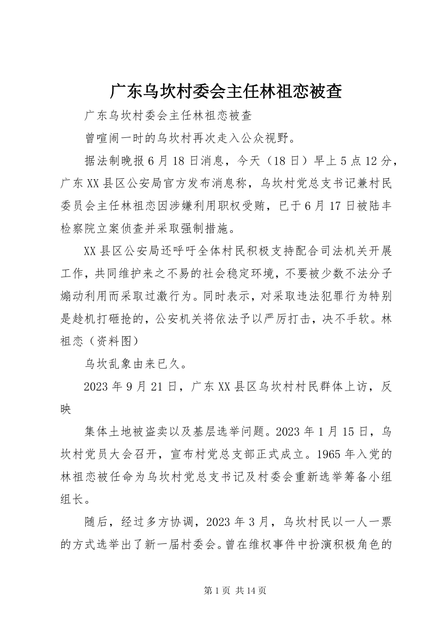 2023年乌坎村委会主任林祖恋被查.docx_第1页