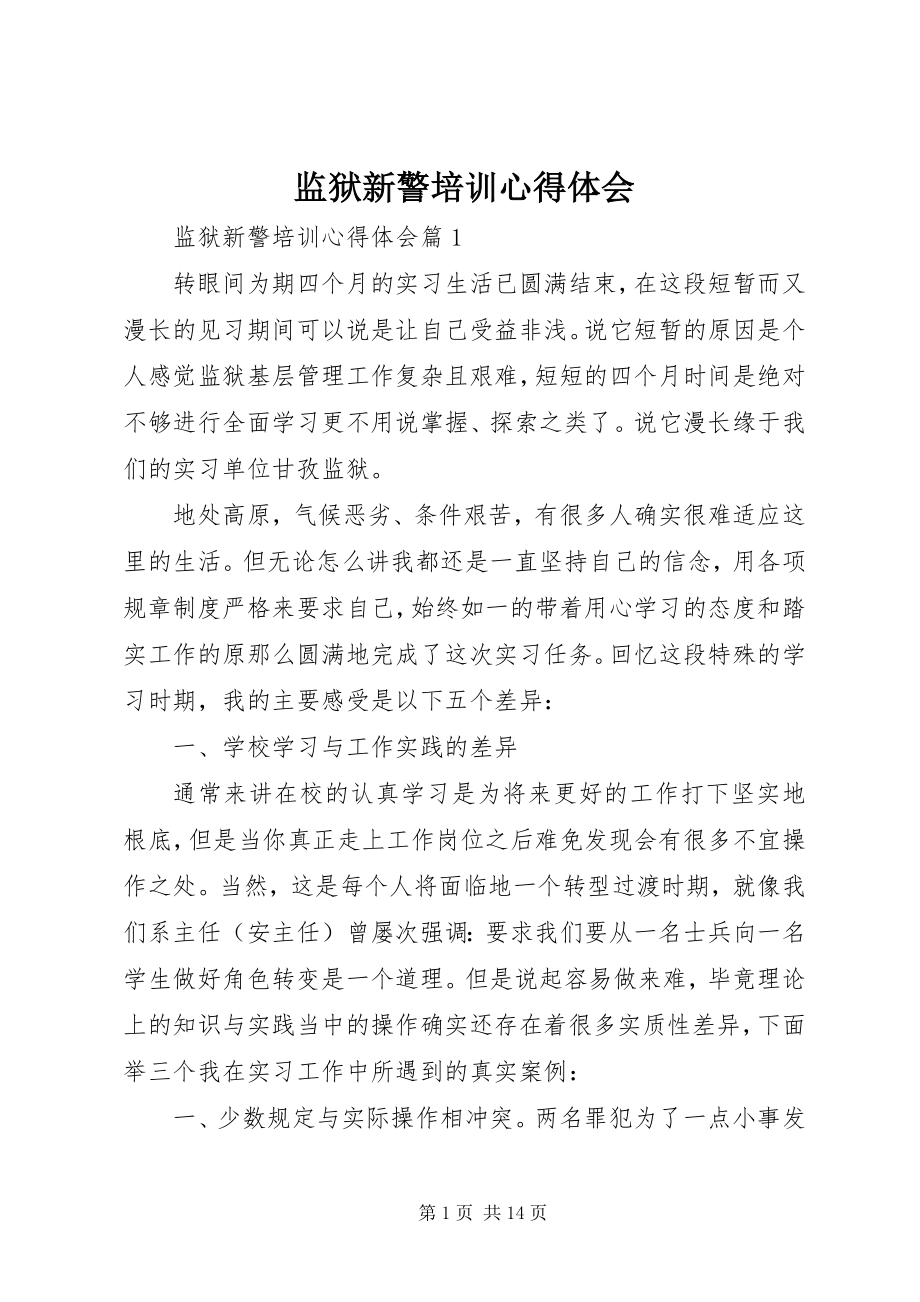 2023年监狱新警培训心得体会.docx_第1页