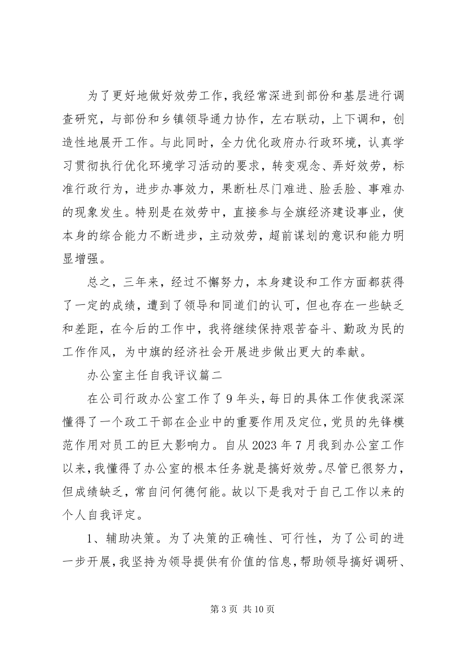 2023年办公室主任自我评议新编.docx_第3页