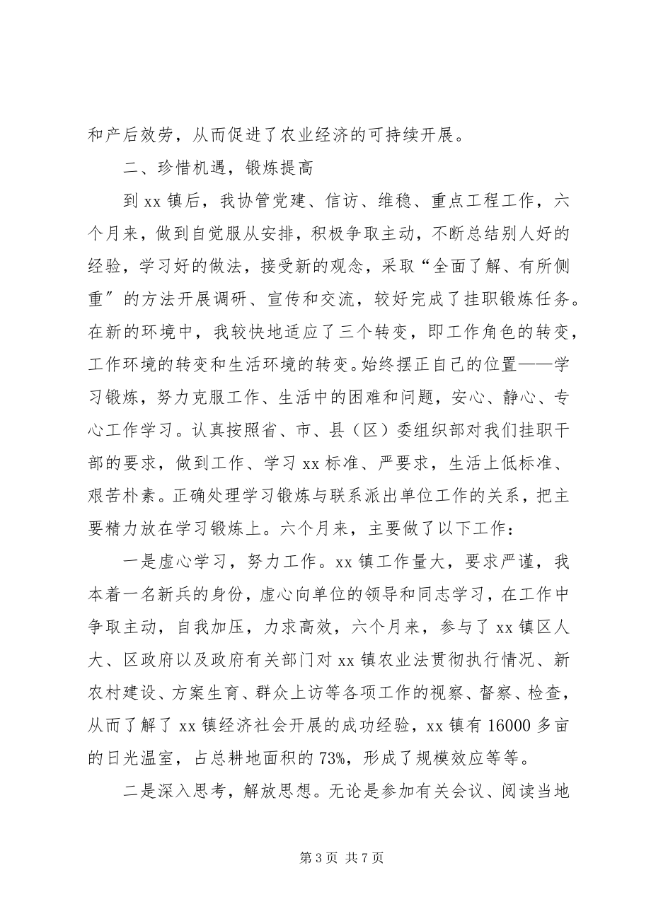 2023年挂职镇党委副书记锻炼个人工作总结.docx_第3页