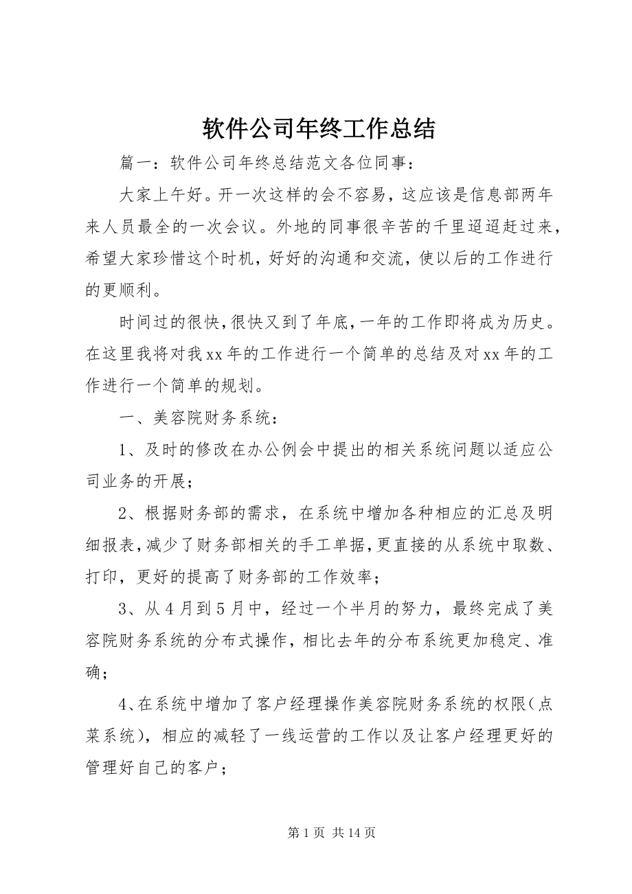 2023年软件公司年终工作总结.docx_第1页