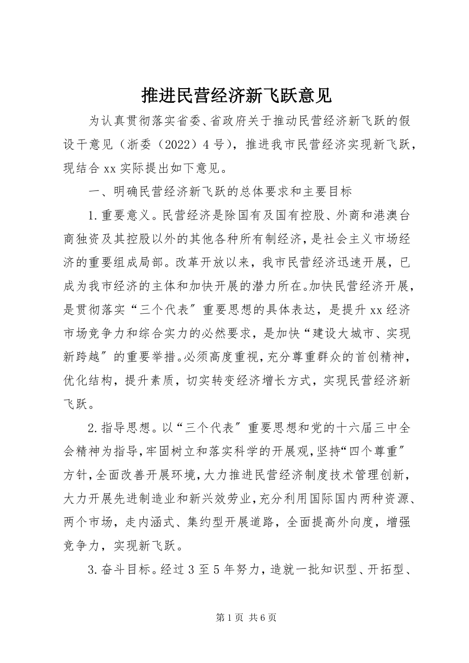 2023年推进民营经济新飞跃意见.docx_第1页