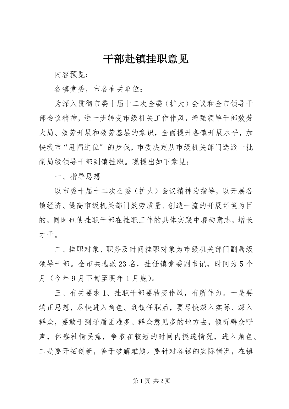 2023年干部赴镇挂职意见.docx_第1页