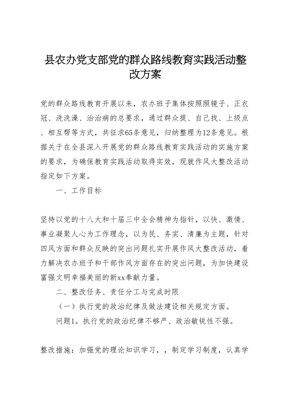 2023年县农办党支部党的群众路线教育实践活动整改方案.doc_第1页