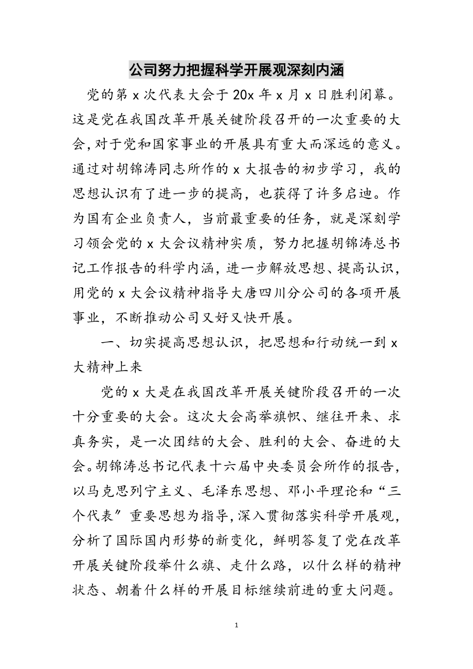 2023年公司努力把握科学发展观深刻内涵范文.doc_第1页