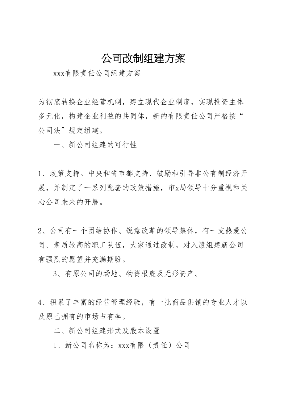 2023年公司改制组建方案 2.doc_第1页