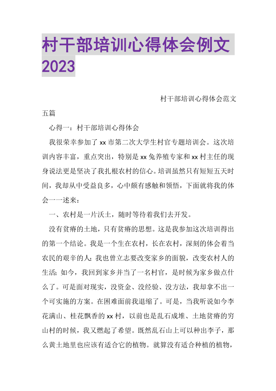 2023年村干部培训心得体会例文.doc_第1页