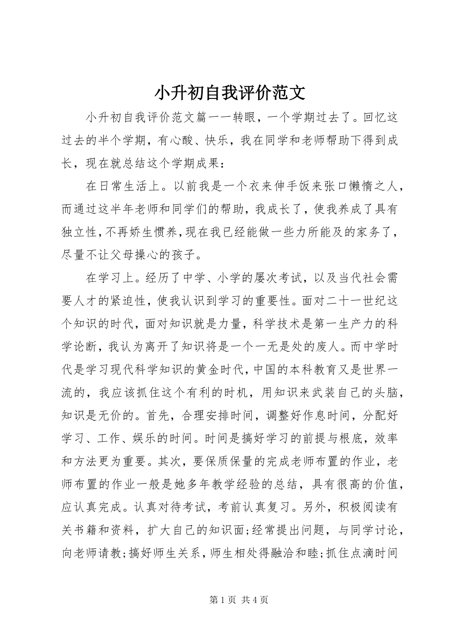 2023年小升初自我评价.docx_第1页