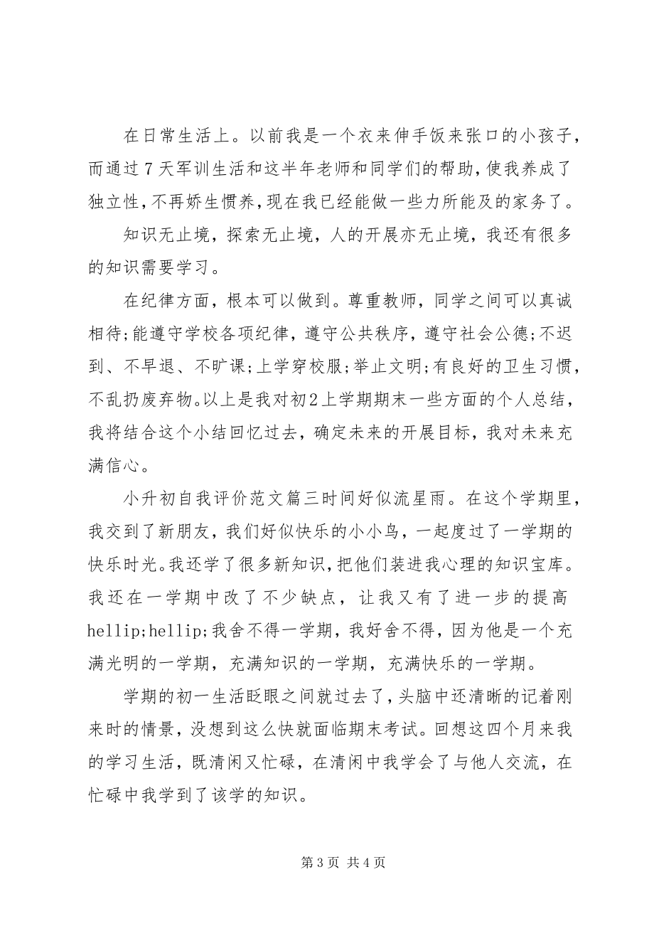 2023年小升初自我评价.docx_第3页