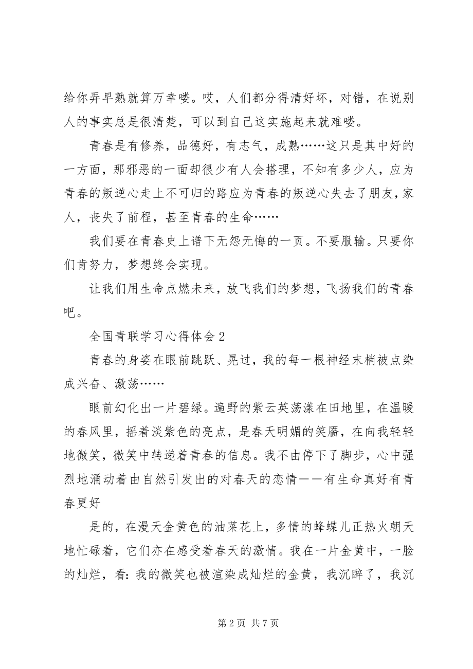 2023年全国青联学习心得体会.docx_第2页